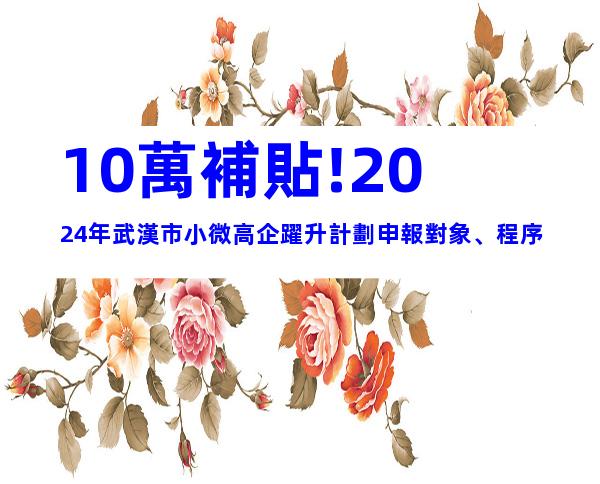 10萬補貼!2024年武漢市小微高企躍升計劃申報對象、程序