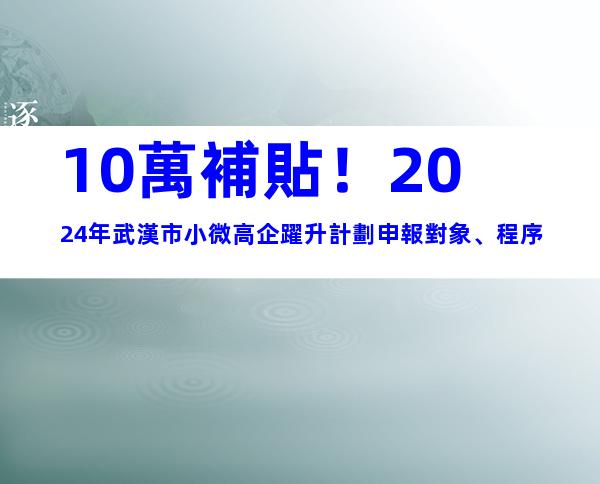 10萬補貼！2024年武漢市小微高企躍升計劃申報對象、程序