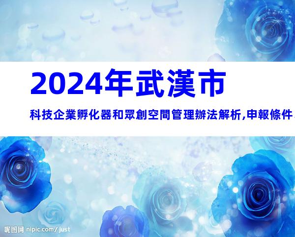 2024年武漢市科技企業孵化器和眾創空間管理辦法解析,申報條件、流程