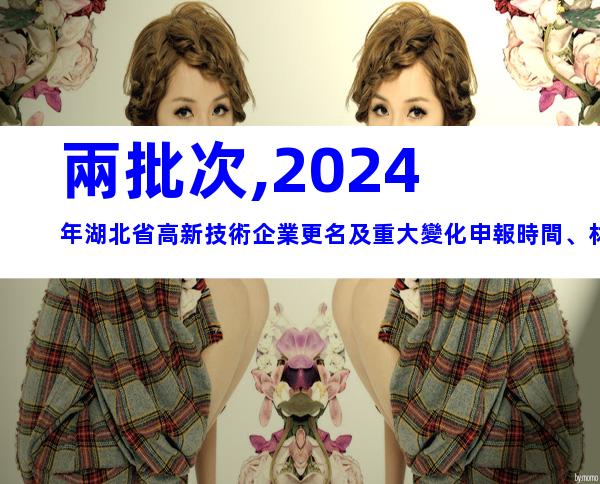 兩批次,2024年湖北省高新技術企業更名及重大變化申報時間、材料合集