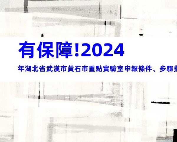 有保障!2024年湖北省武漢市黃石市重點實驗室申報條件、步驟指南