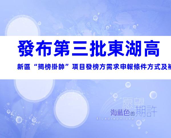 發布第三批東湖高新區“揭榜掛帥”項目發榜方需求申報條件方式及補貼要求