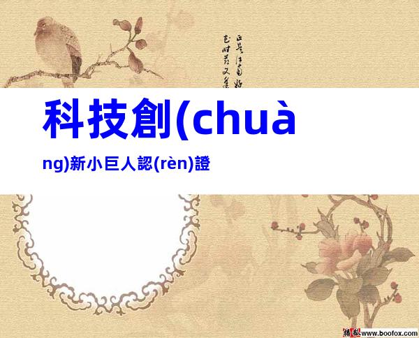 科技創(chuàng)新小巨人認(rèn)證